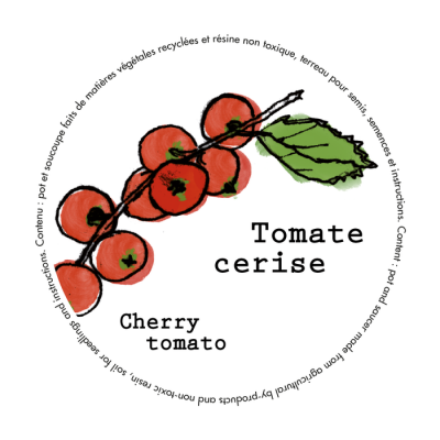Minipot tomate cerise fibres recyclées