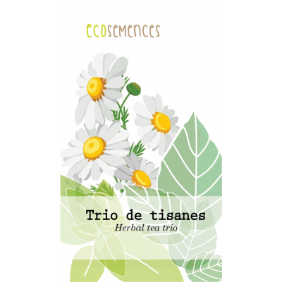 Trio de tisanes