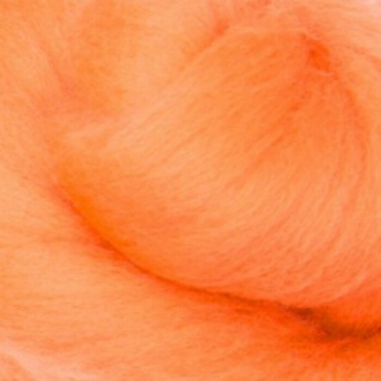 Pale Apricot Pale Apricot