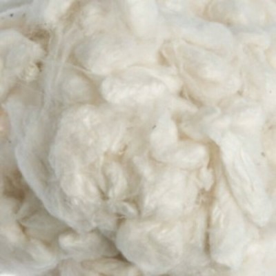 Silk Cocoons