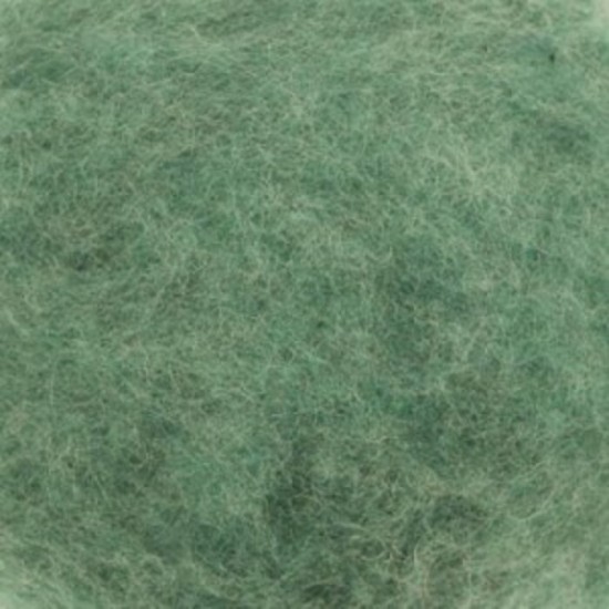 Eucalyptus Eucalyptus