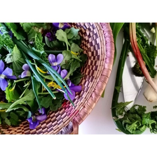 ATELIER * Salade printanière & Herbier