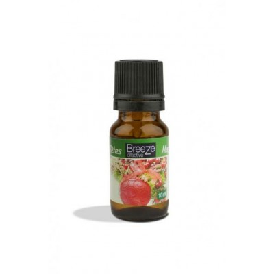 Magie Des Fêtes Breeze 10ml