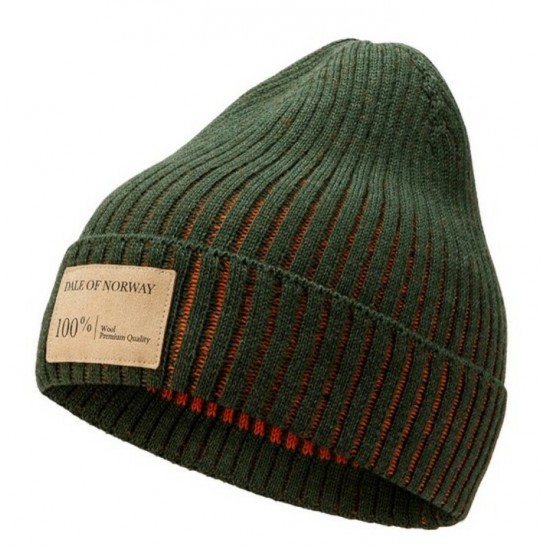 Dale of Norway - Bonnet en laine norvégienne ALVOY - Vert