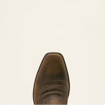 ARIAT - Bottes Hybrid Roughstock Antler - 10061156