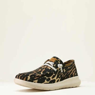 ARIAT - Chaussures femme HILO - Graphic Leopard