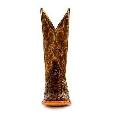 HORSE POWER - Bottes Chocolate Nile Croc Print