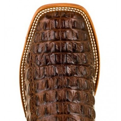 HORSE POWER - Bottes Chocolate Nile Croc Print
