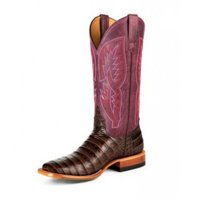 MACIE BEAN - Bottes With All My Bite