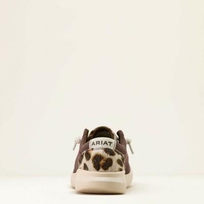 ARIAT - Chaussures femme HILO - Chocolate Smoke