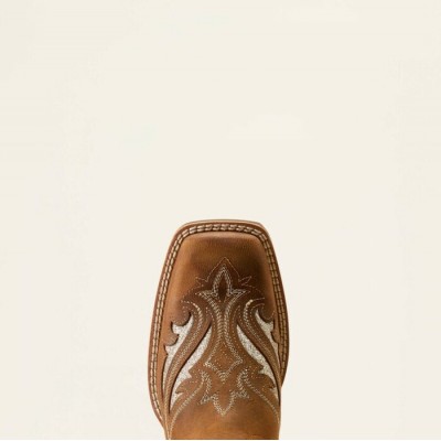 ARIAT - Bottes Round Up Bliss - Sassy Brown