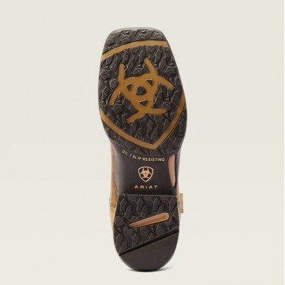 ARIAT - Bottes Anthem Deer Waterproof