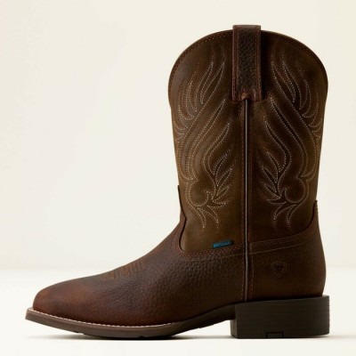 ARIAT - Bottes Sport Riggs - Copper Expresso Tan