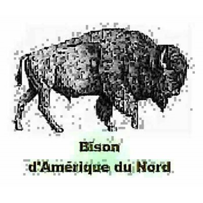 Boulet - Modèle 7238