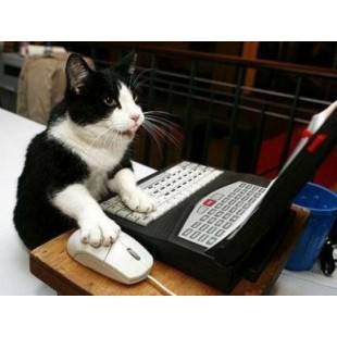 Cours d'initiation à l'informatique  à domicile...