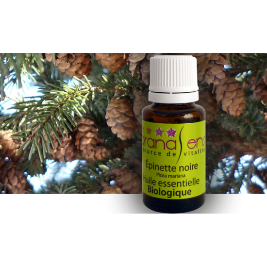 huile essentielle épinette noire - Picea mariana