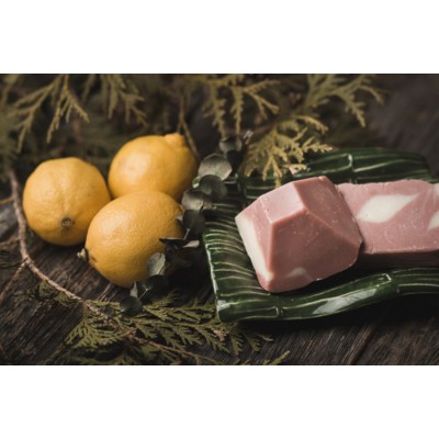 Savon LIQUIDE pour le peuple à 4 pattes