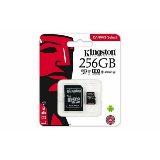 Carte Micro SD Kingston 256 Go