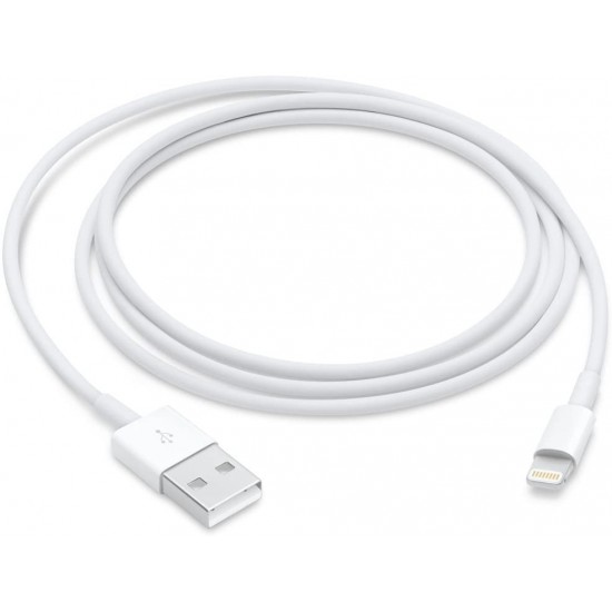 CABLE LIGHTNING VERS USB