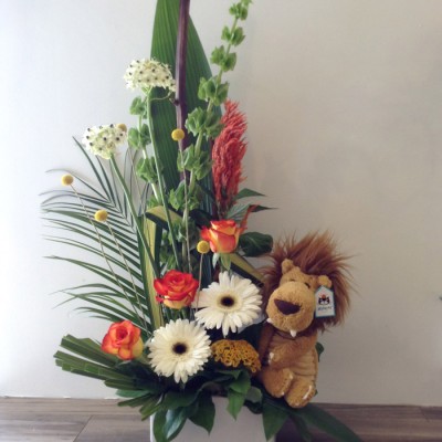 Arrangement de naissance