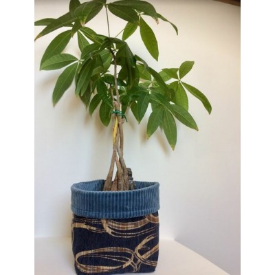 Panier de tissu vert mousse