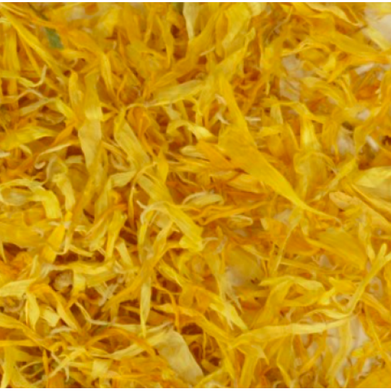 Fleurs - Calendule