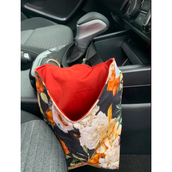 Poubelle de voiture