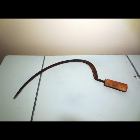 Petite faux (Fauchette)