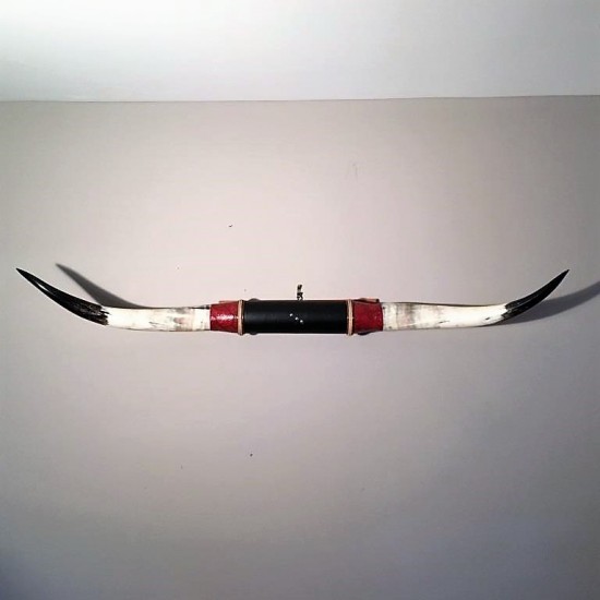 Cornes vintage ''Texas long horn''
