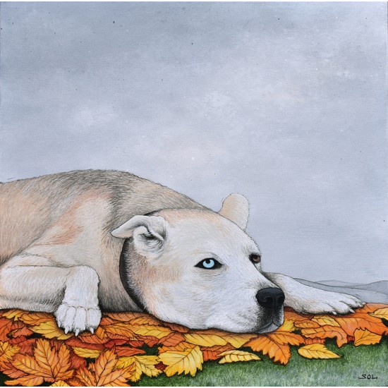 Reproduction de la toile "Roxy" de Marie-Sol St-Onge