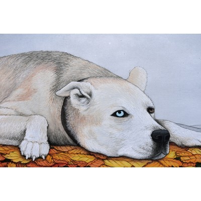 Reproduction de la toile "Roxy" de Marie-Sol St-Onge