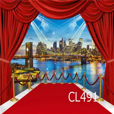 Toile pour photo  10 x 10   10-491