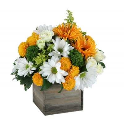 Bouquet de fleurs As Good As Gold