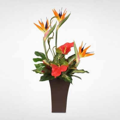 Tropical Planter
