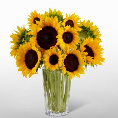 Bouquet de fleurs Sunflower Lover Bouquet de fleurs Sunflower Lover