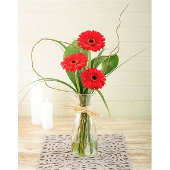 Bouquet de fleurs Gerber Beauty Bouquet de fleurs Gerber Beauty