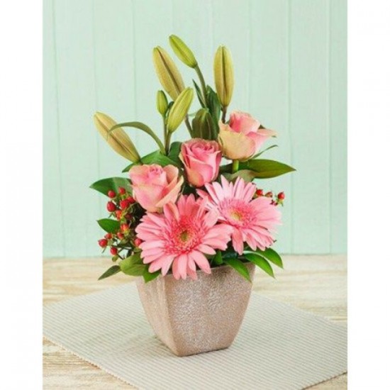 Bouquet de fleurs Comforting