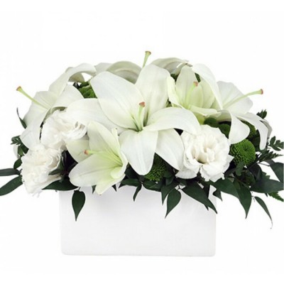 Arrangement funéraire Memoriam