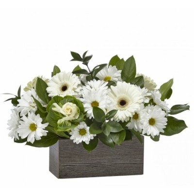 Arrangement funéraire Home to Paradise