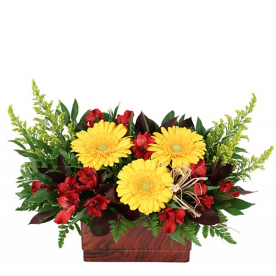 Bouquet de fleurs Bonfire Nights