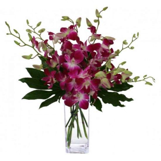 Arrangement funéraire Splendid Orchids