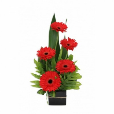 Bouquet de fleurs Gerber Jazzing