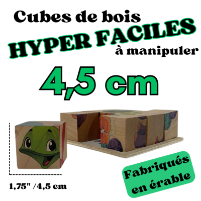 Casse-Tête en bois