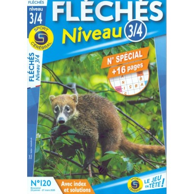 SC FLÉCHÉS NIVEAU 3/4