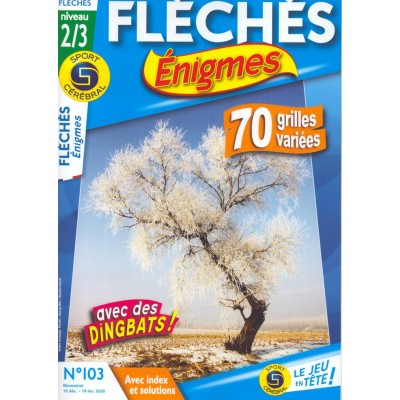 SC FLÉCHÉS ENIGMES NIVEAU 2/3