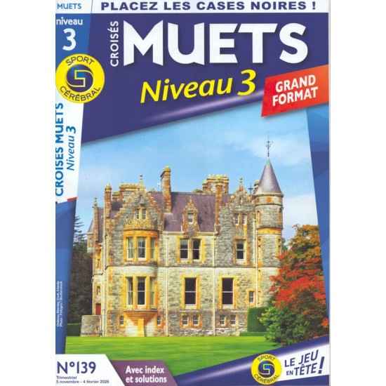 SC CROISÉS MUETS NIVEAU 3 GRAND FORMAT