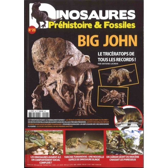 DINOSAURES PRÉHISTOIRE ET FOSSILES
