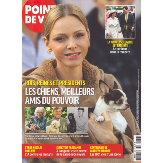 POINT DE VUE