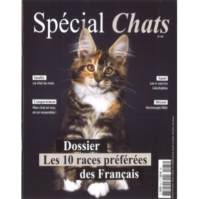 SPÉCIAL CHATS