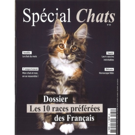 SPÉCIAL CHATS